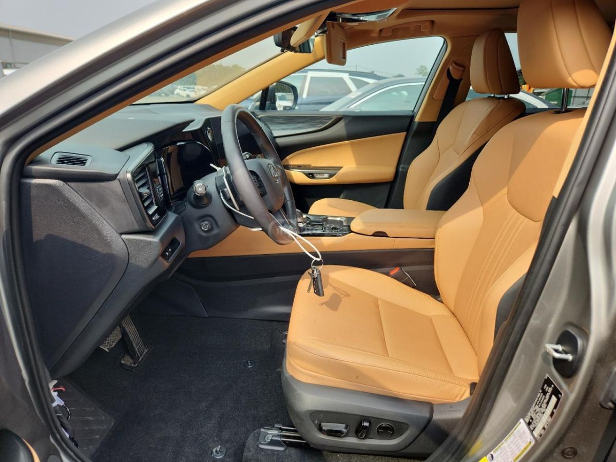 Lexus NX 200 Base 4dr All-wheel Drive Autom 2023 — миниатюра 6