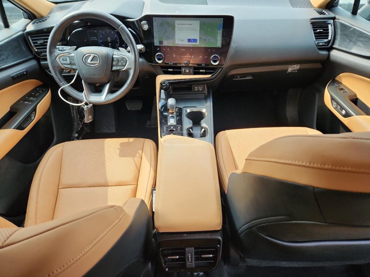 Lexus NX 200 Base 4dr All-wheel Drive Autom 2023 — миниатюра 7