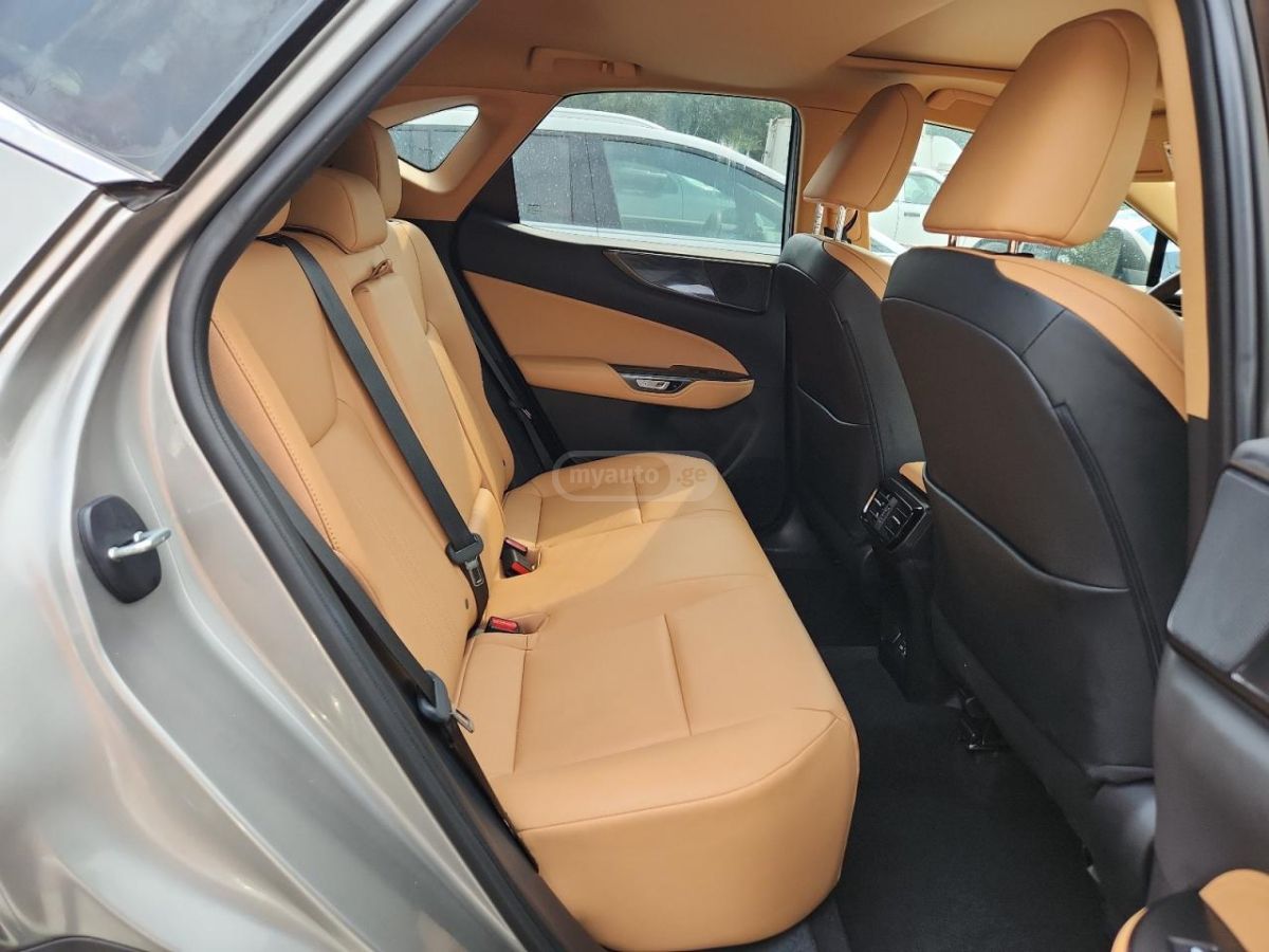 Lexus NX 200 Base 4dr All-wheel Drive Autom 2023 — миниатюра 9