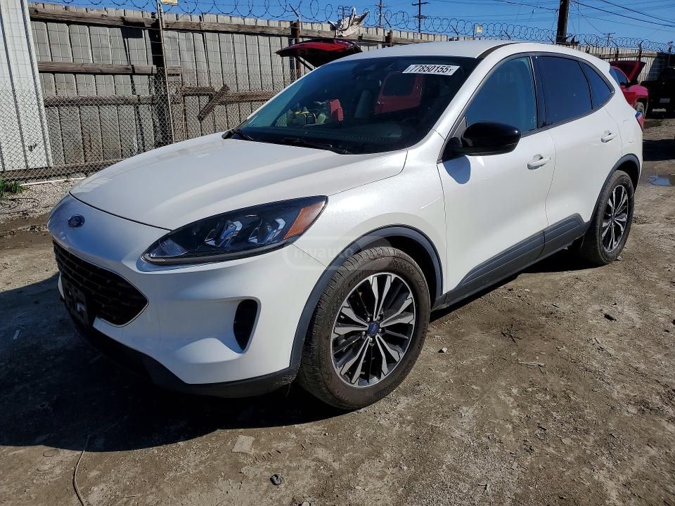 Ford Escape - фото 1