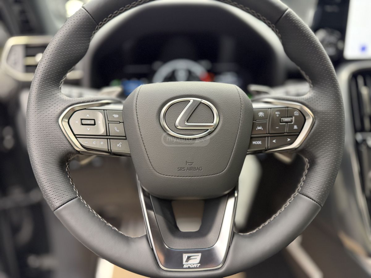 Lexus LX 500 - фото 11