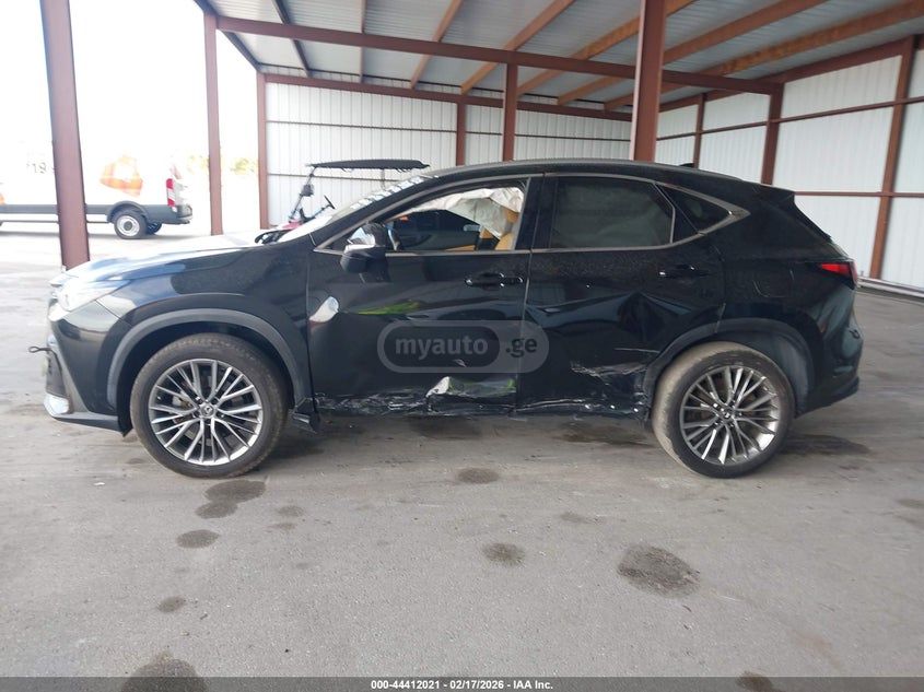 Lexus RX 350 - фото 13