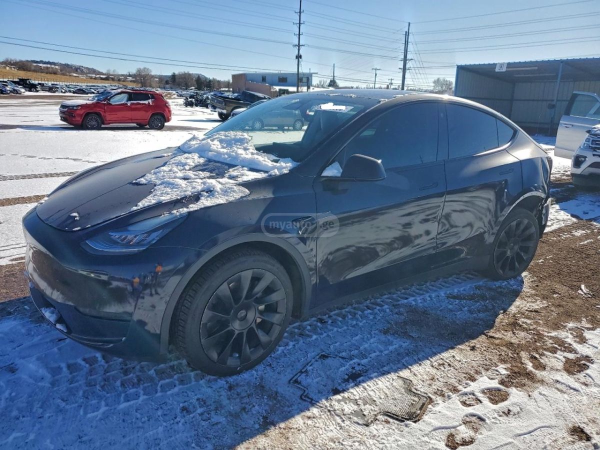 Tesla Model Y - фото 1