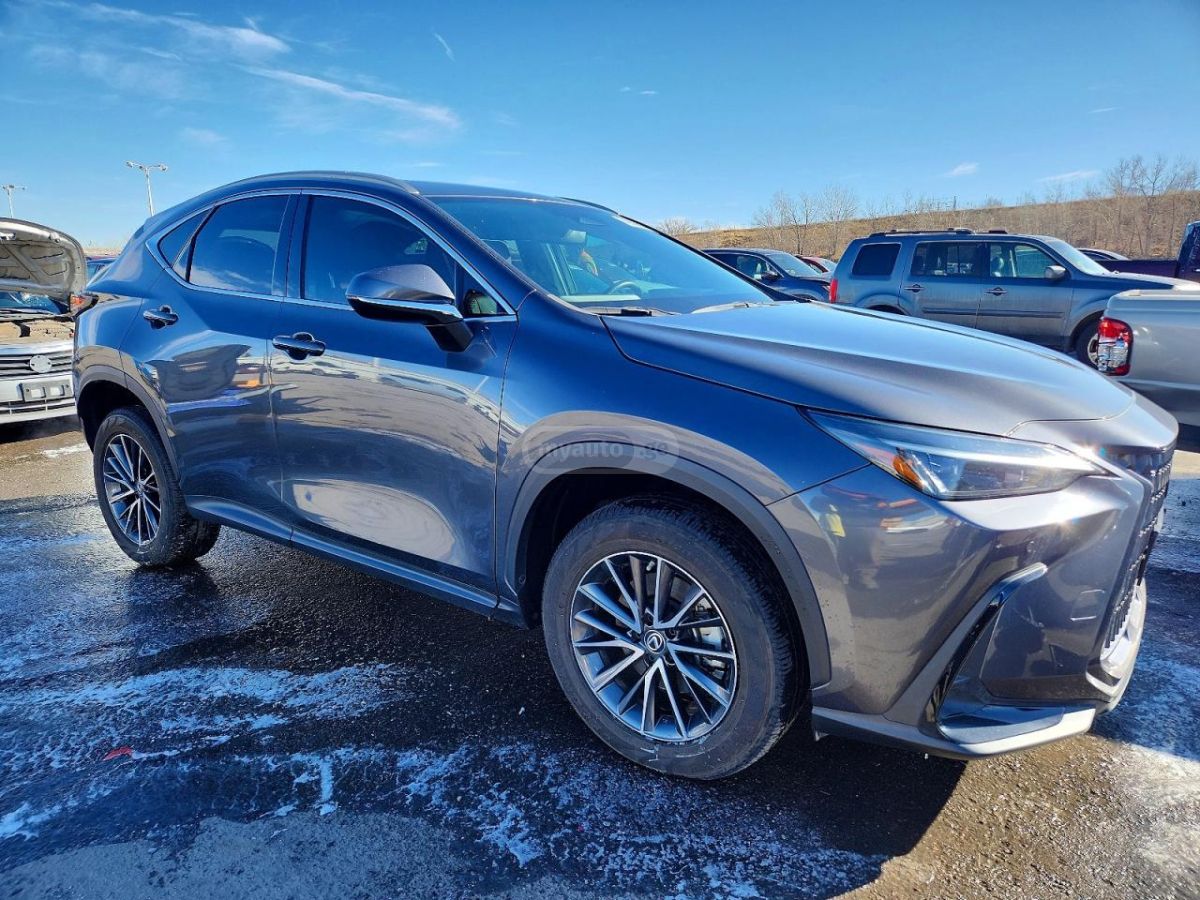 Lexus NX 350 - фото 4