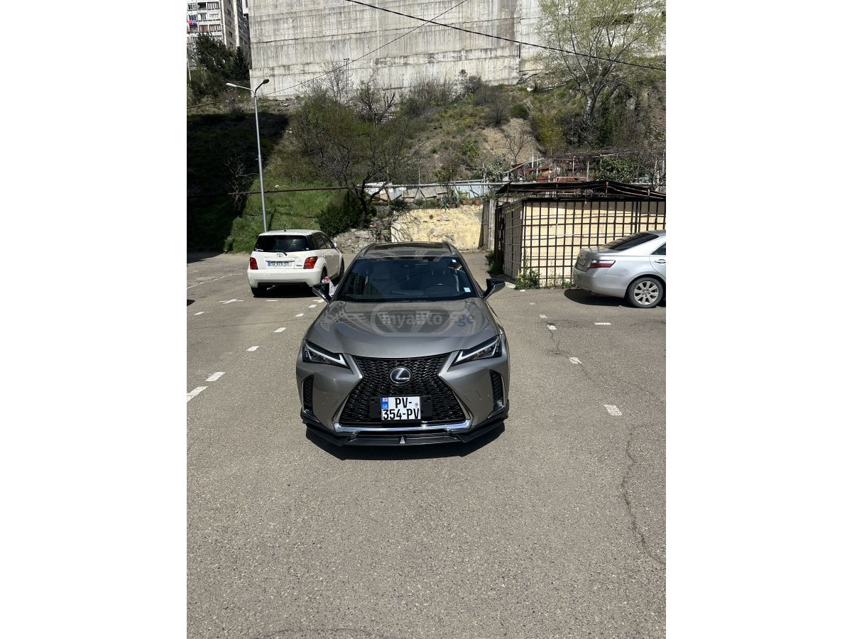 Lexus UX 250 h - фото 6