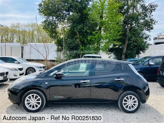 Nissan Leaf - фото 1