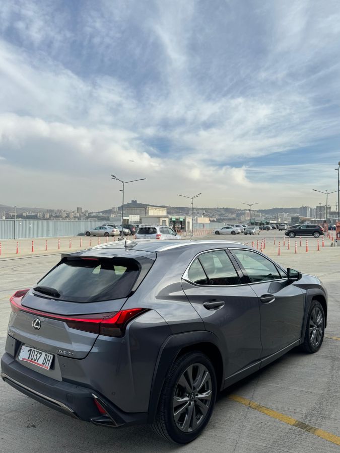 Lexus UX 250 h - фото 3