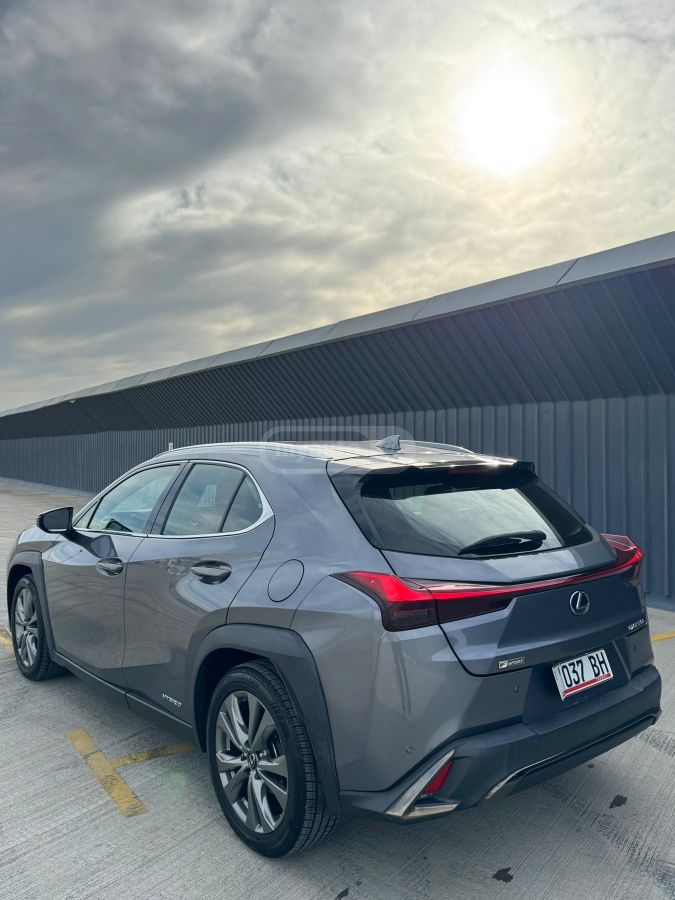 Lexus UX 250 h - фото 4