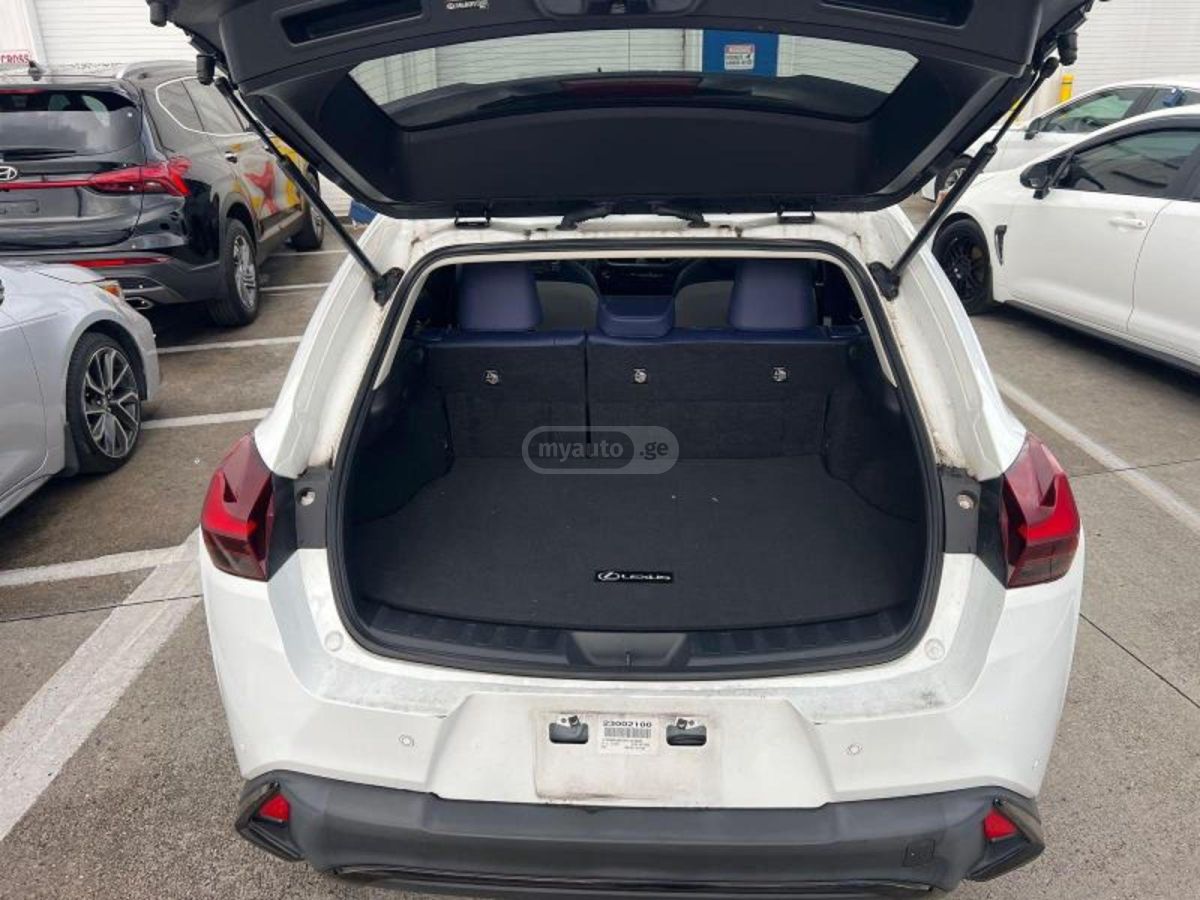 Lexus UX 250 h - фото 6