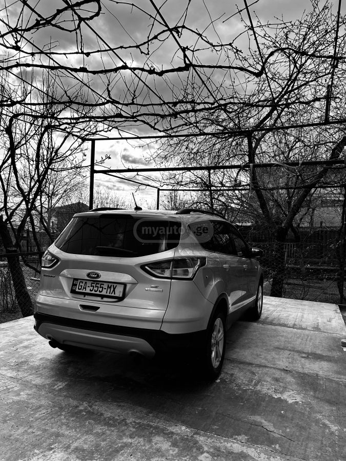 Ford Escape - фото 10