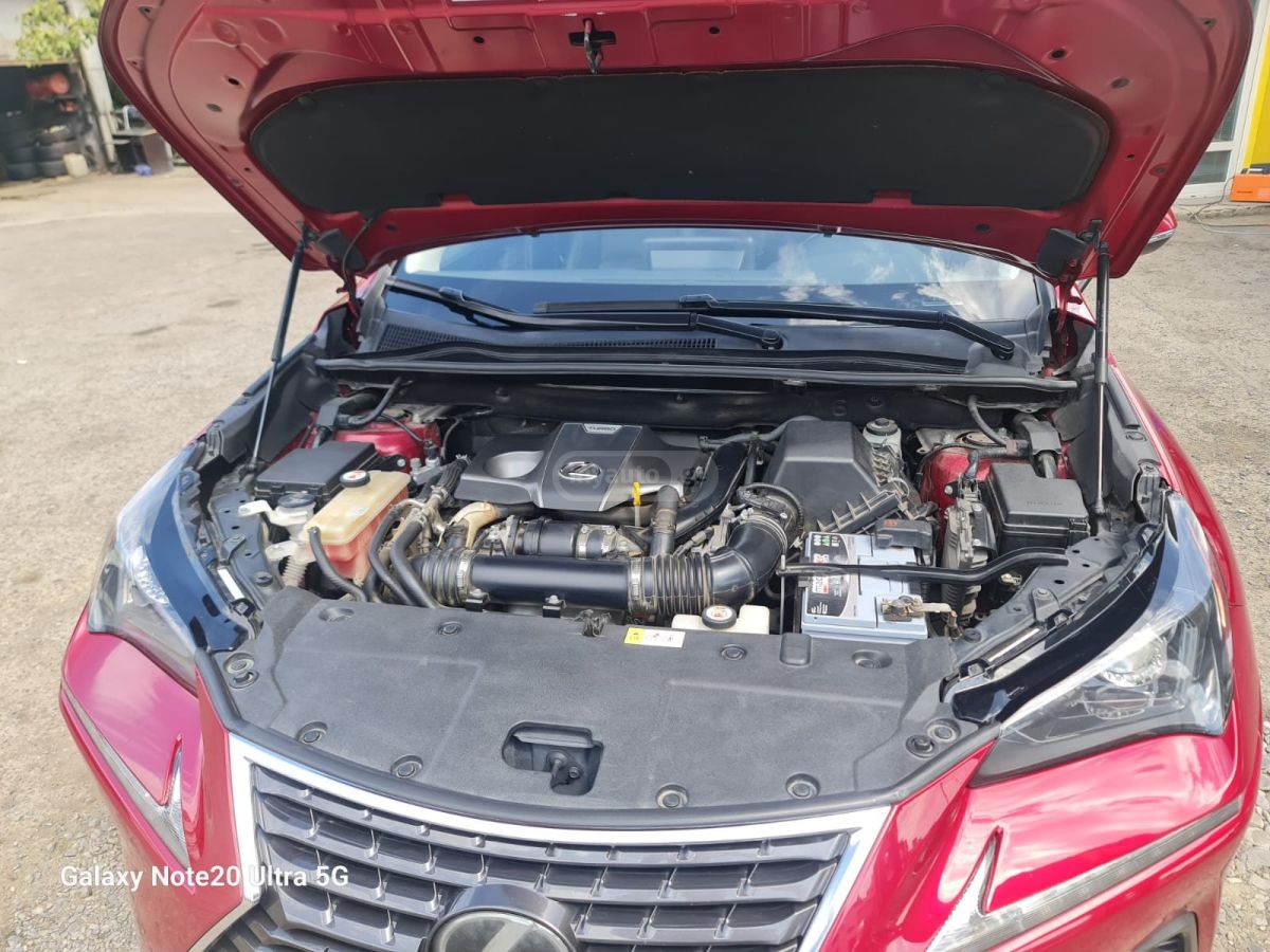 Lexus NX 300 - фото 8