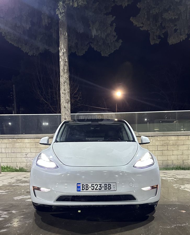 Tesla Performance — миниатюра 1