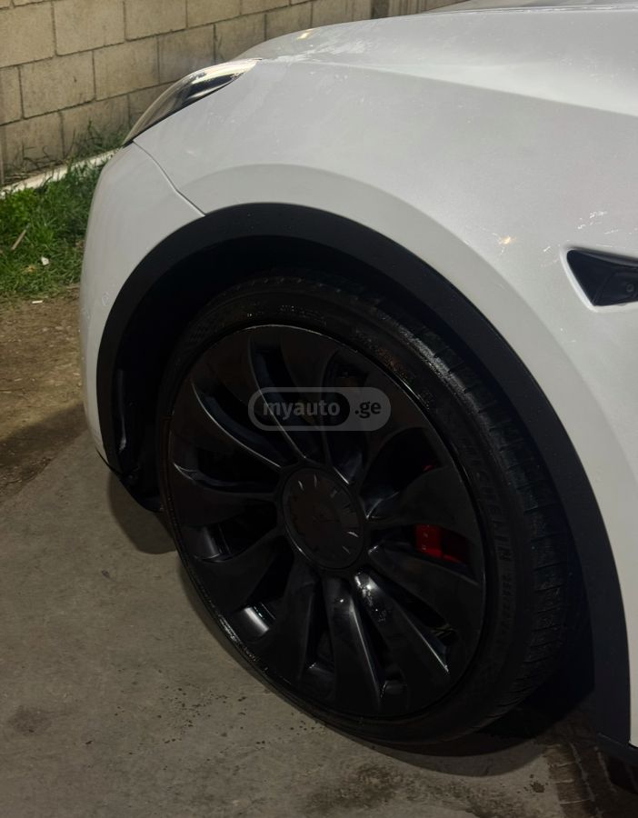 Tesla Performance — миниатюра 10