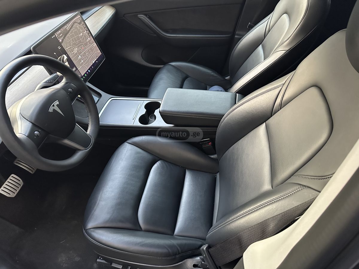 Tesla Performance — миниатюра 2