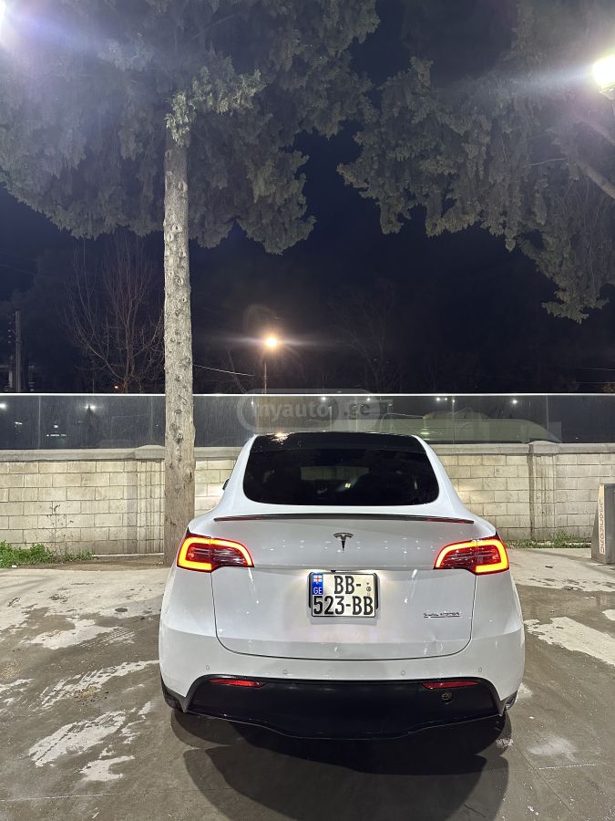 Tesla Performance — миниатюра 4