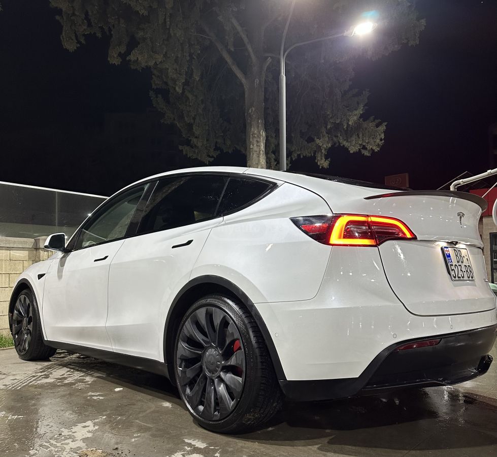 Tesla Performance — миниатюра 5