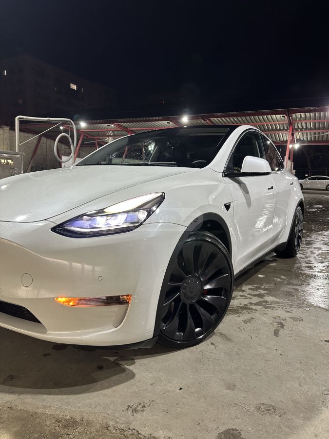 Tesla Performance — миниатюра 6