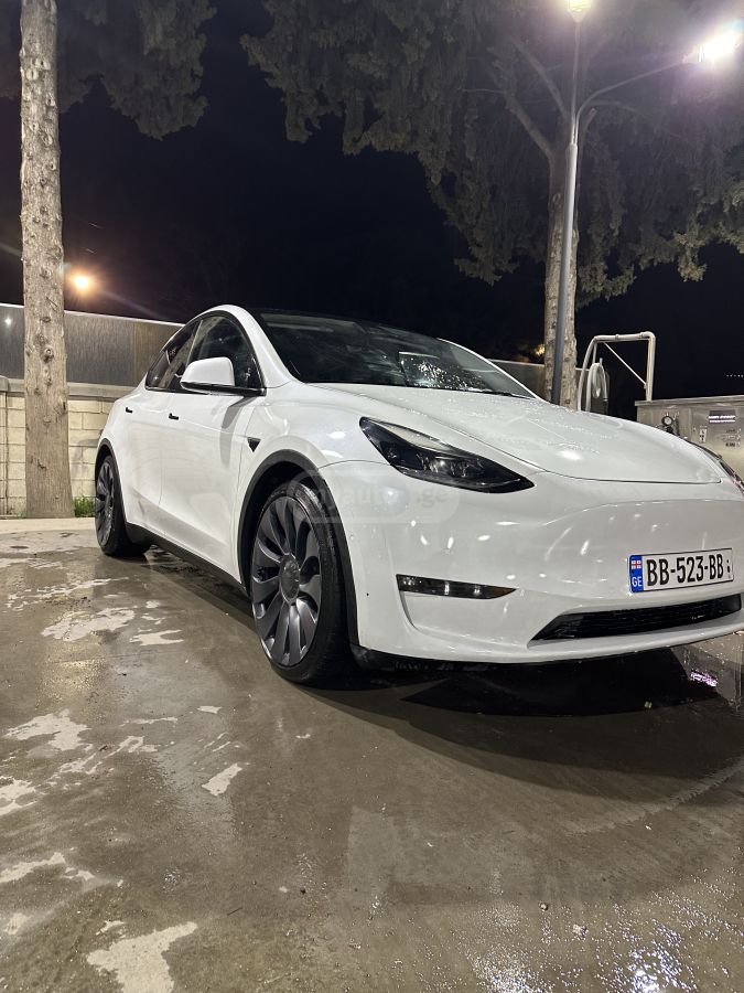 Tesla Performance — миниатюра 7