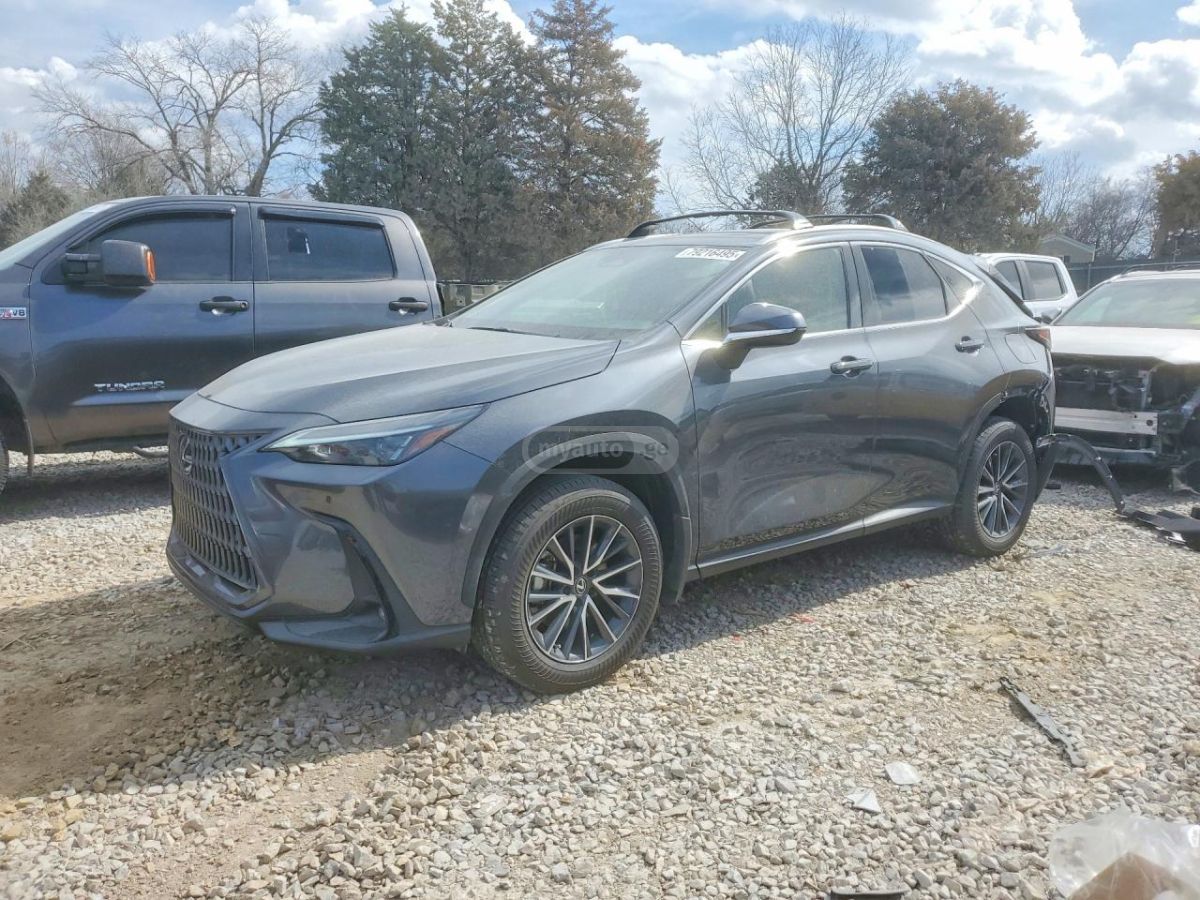 Lexus NX 200 2025 — миниатюра 1