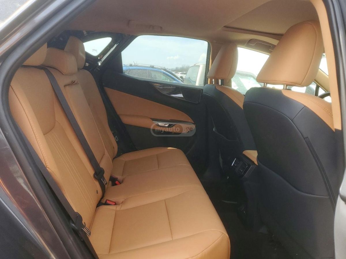Lexus NX 200 2025 — миниатюра 11