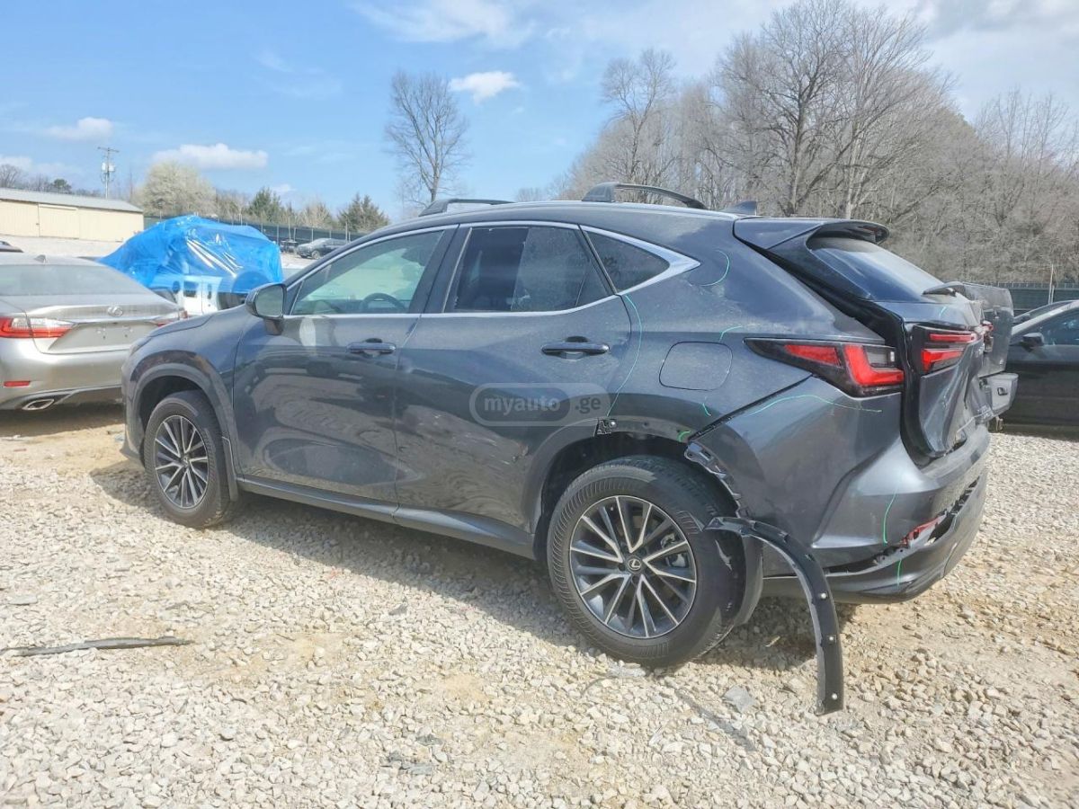 Lexus NX 200 2025 — миниатюра 2