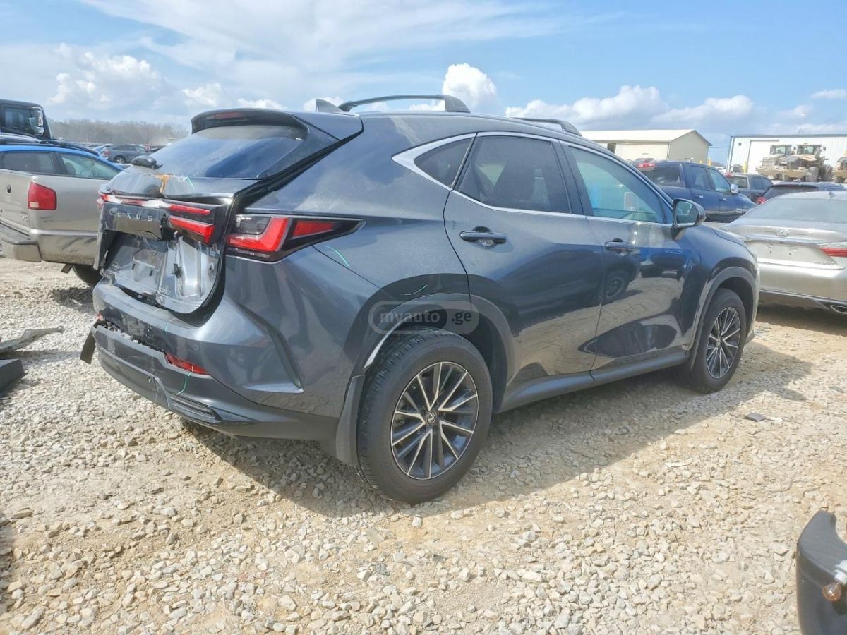 Lexus NX 200 2025 — миниатюра 3