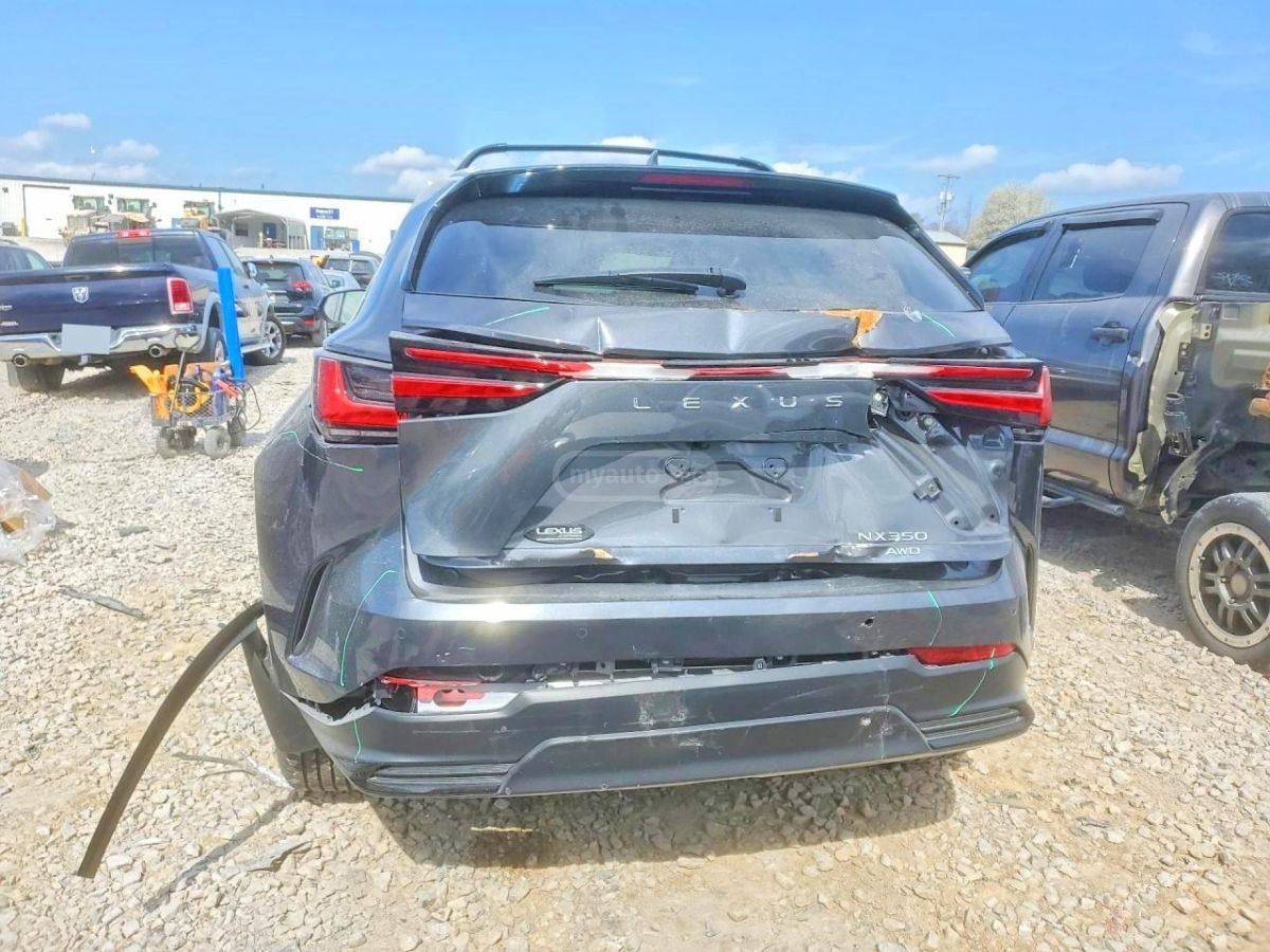 Lexus NX 200 2025 — миниатюра 6