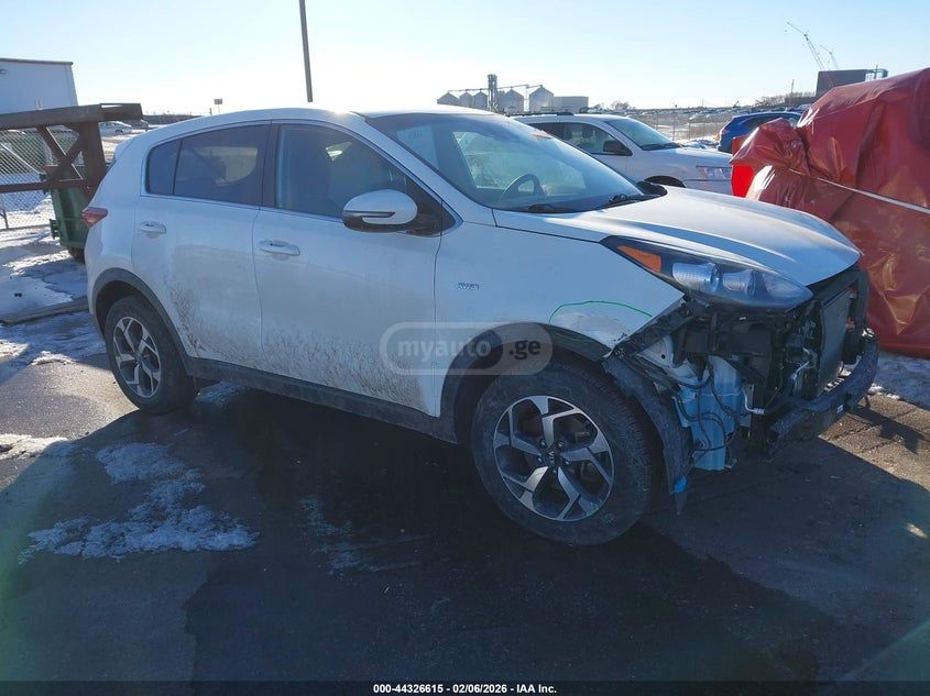 Kia Sportage - фото 1