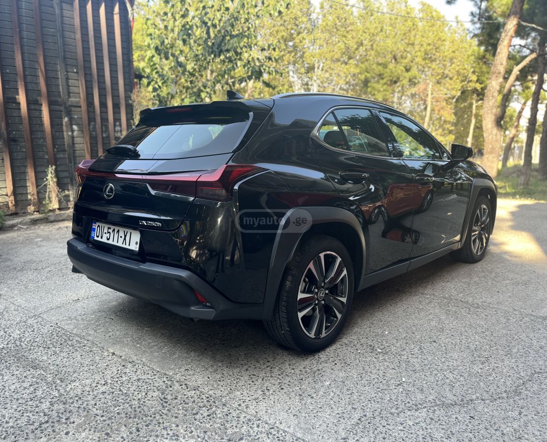 Lexus UX 250 h - фото 3