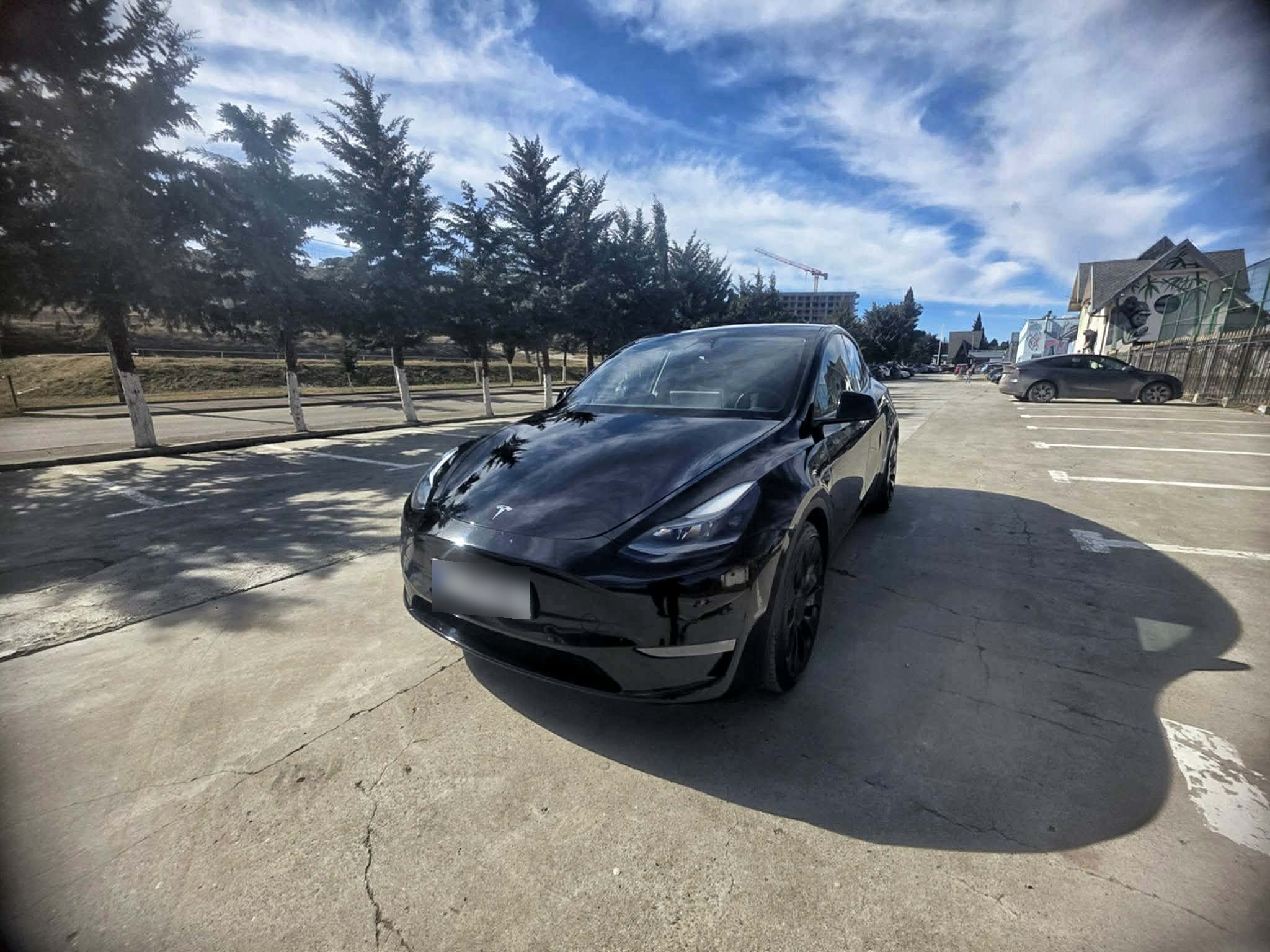 Tesla Model Y - фото 4