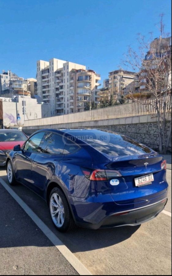 Tesla Model Y - фото 2
