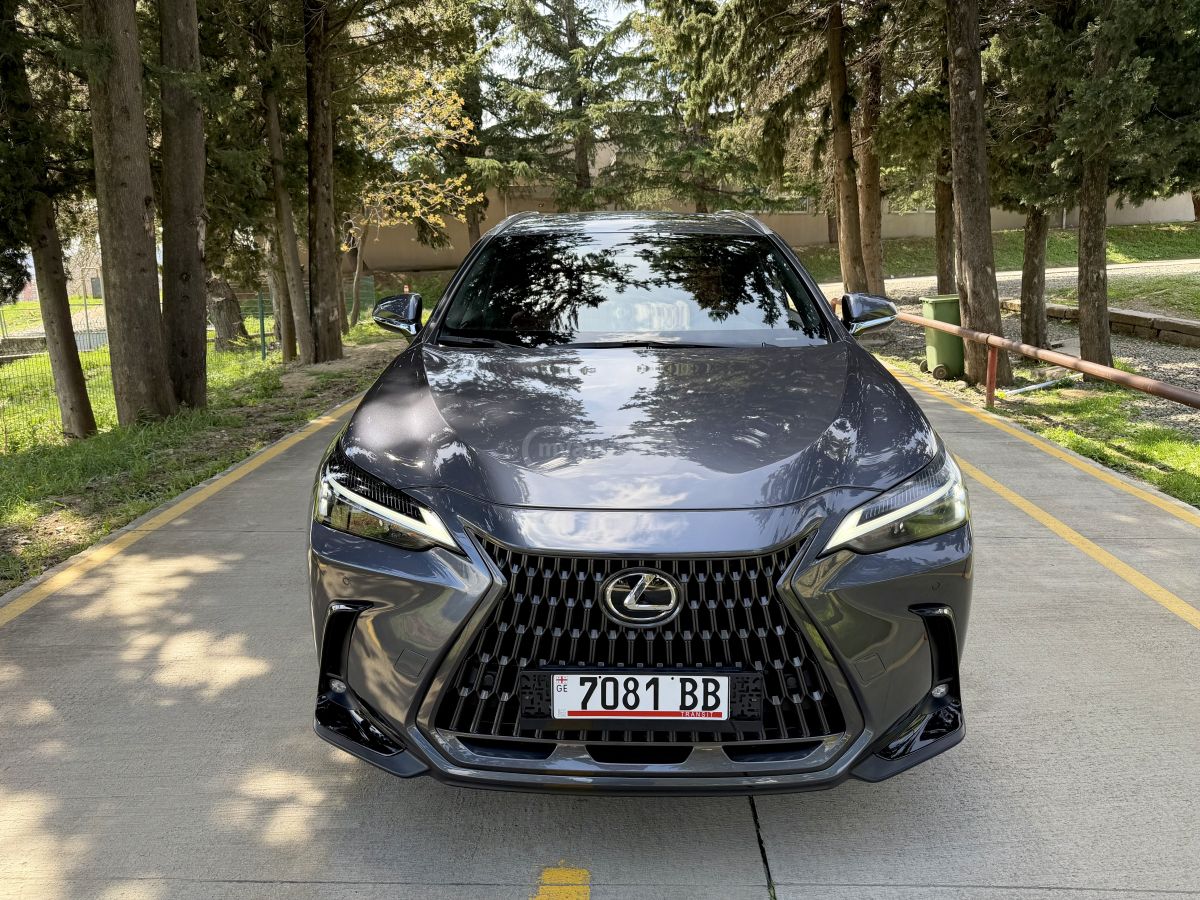 Lexus NX 350 2025 — миниатюра 1
