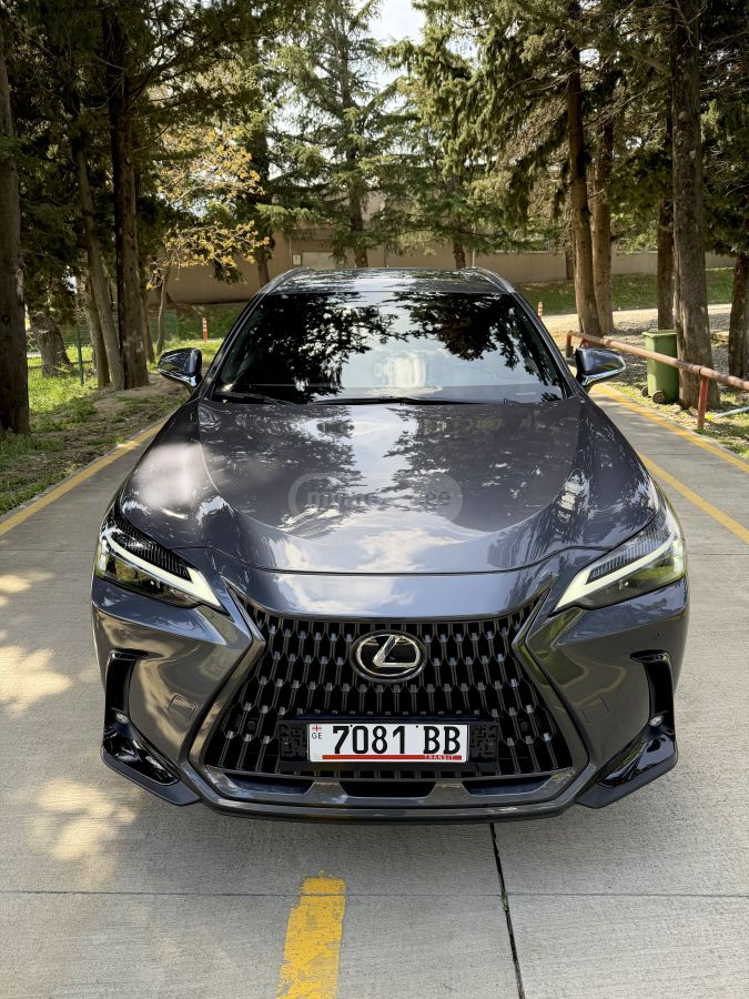 Lexus NX 350 2025 — миниатюра 2
