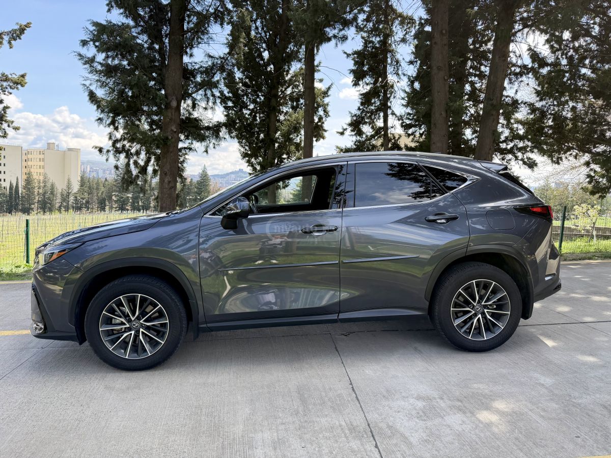 Lexus NX 350 2025 — миниатюра 5