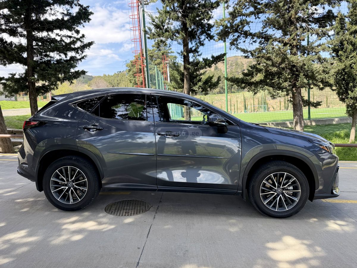 Lexus NX 350 2025 — миниатюра 6