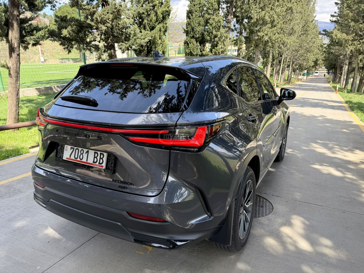 Lexus NX 350 2025 — миниатюра 9