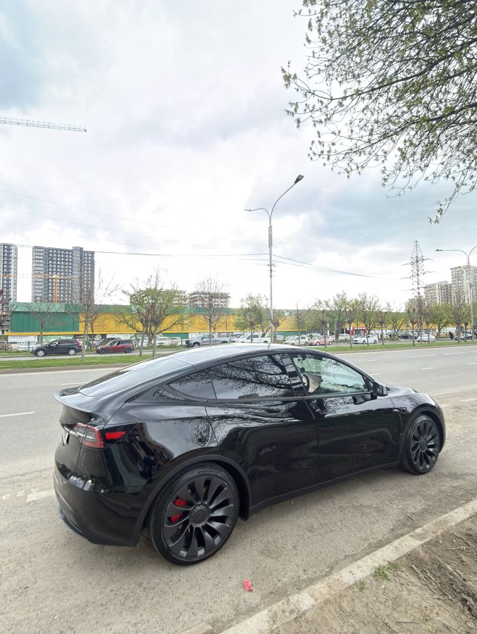 Tesla Model Y 2025 — фото 15 купить в Москве