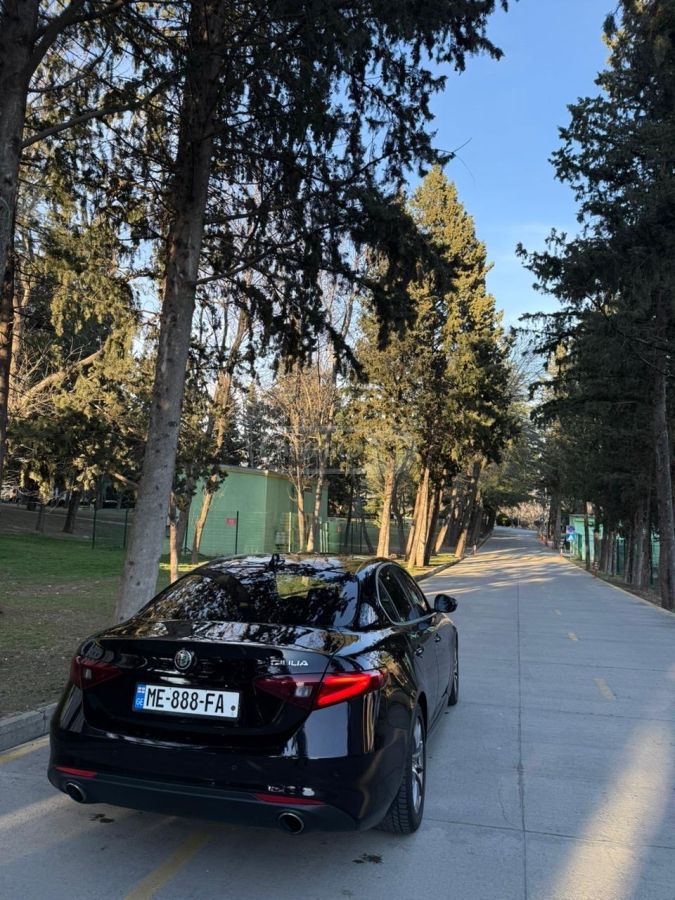 Alfa Romeo Giulia - фото 11