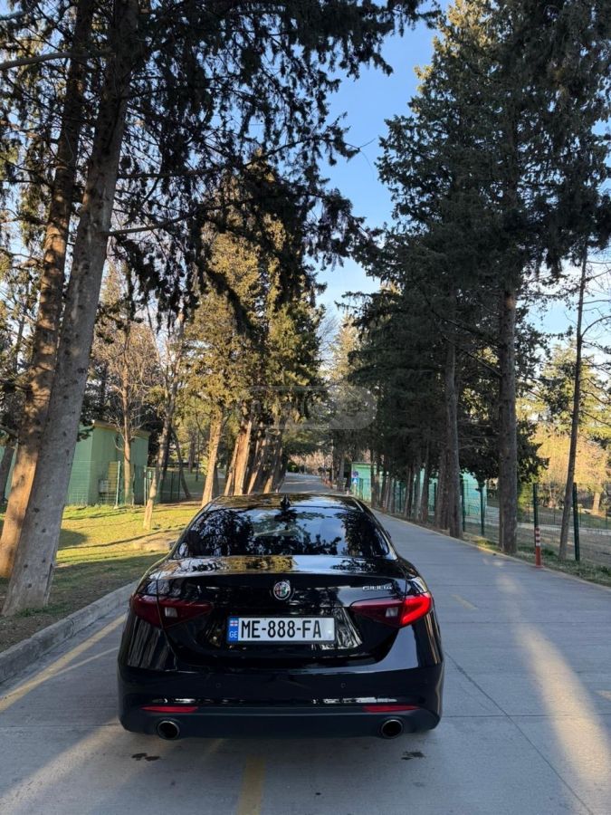 Alfa Romeo Giulia - фото 6