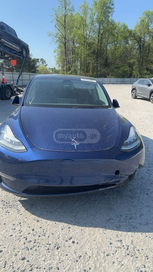 Tesla Model Y - фото 1