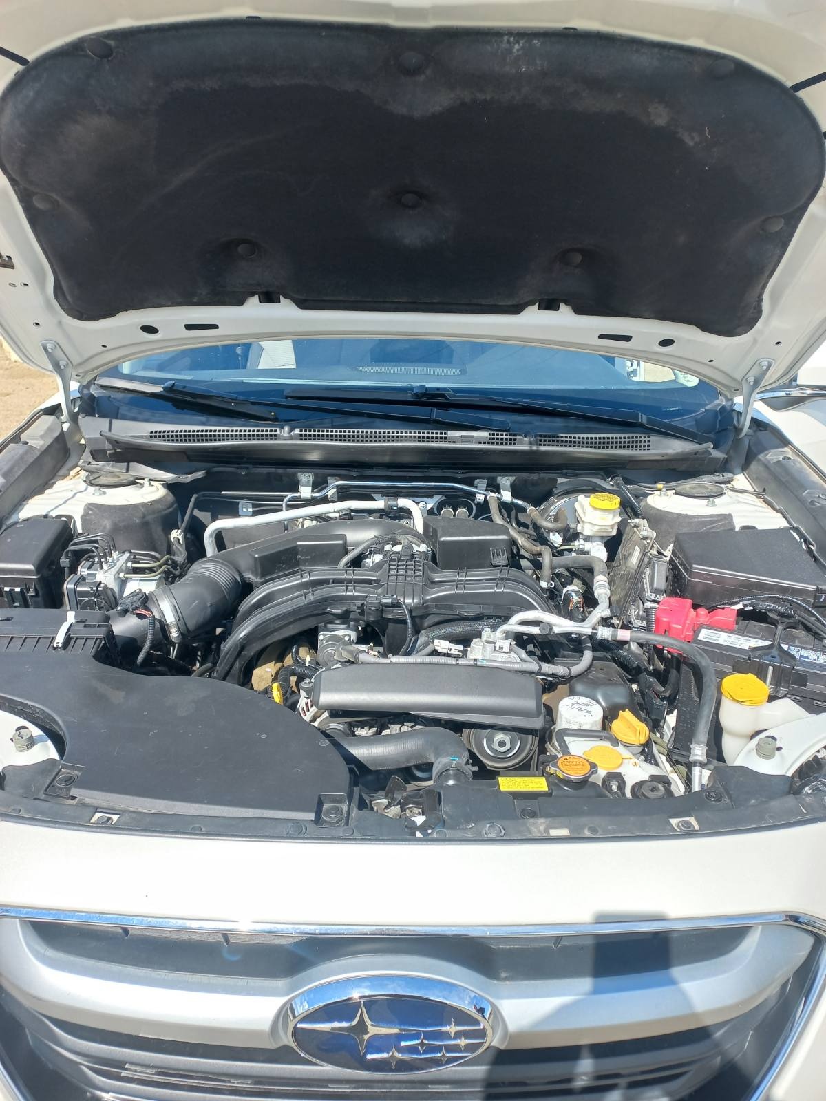 Subaru Outback - фото 4