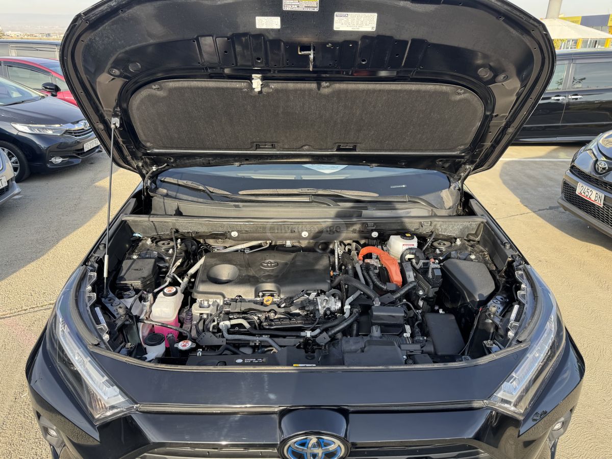 Toyota XLE 4dr All-Wheel Drive Automa — миниатюра 7