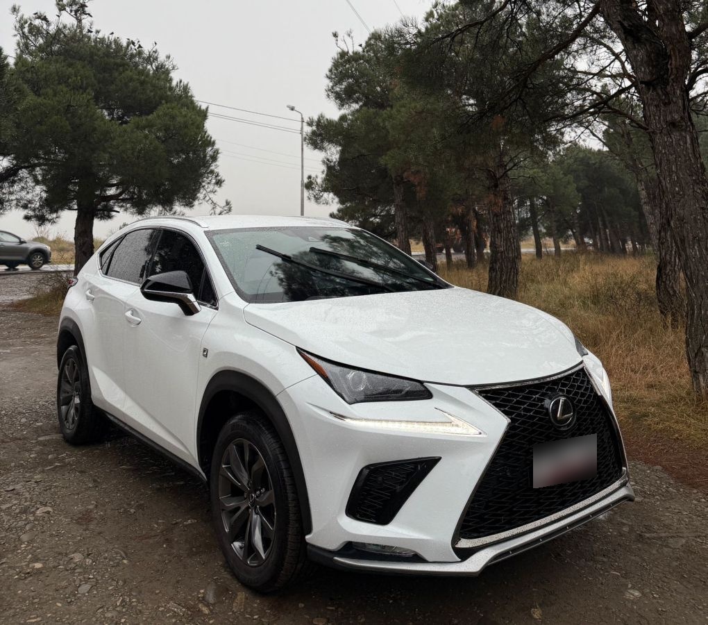 Lexus NX 300 - фото 1