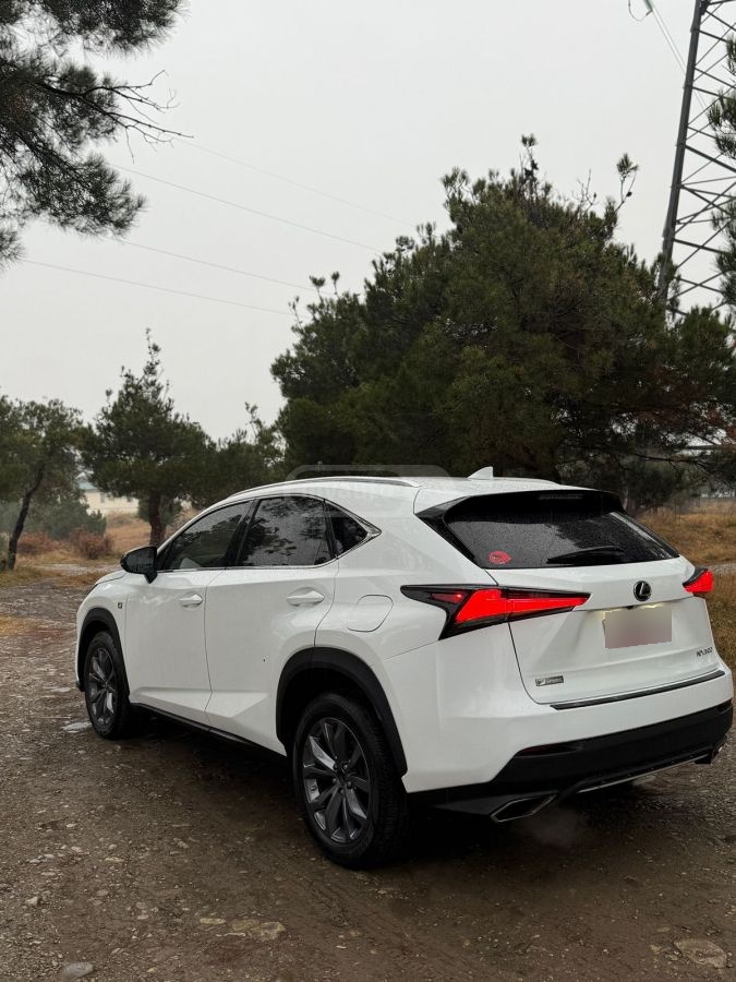Lexus NX 300 - фото 4