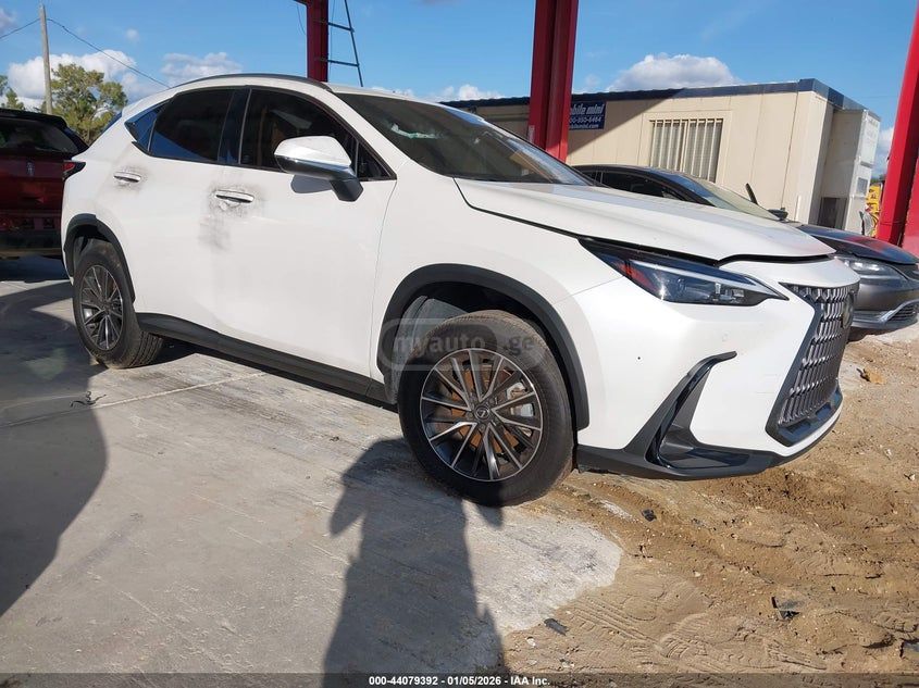 Lexus NX 250 2025 — миниатюра 1