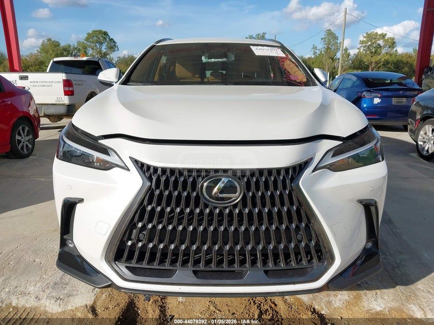 Lexus NX 250 2025 — миниатюра 12