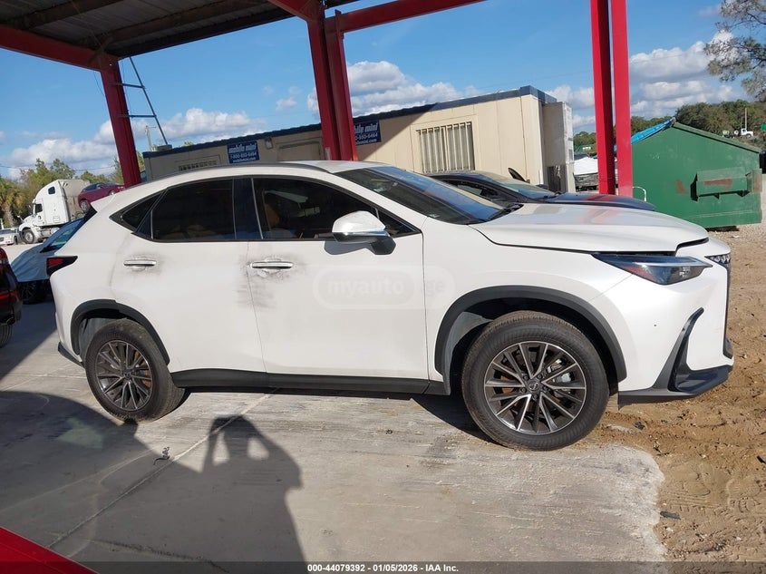 Lexus NX 250 2025 — миниатюра 13