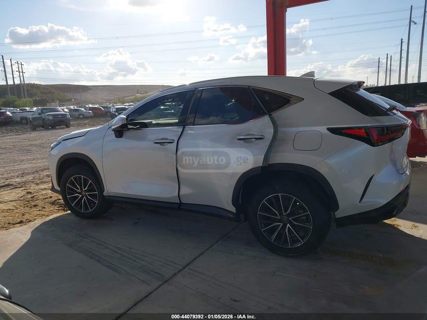 Lexus NX 250 2025 — миниатюра 14
