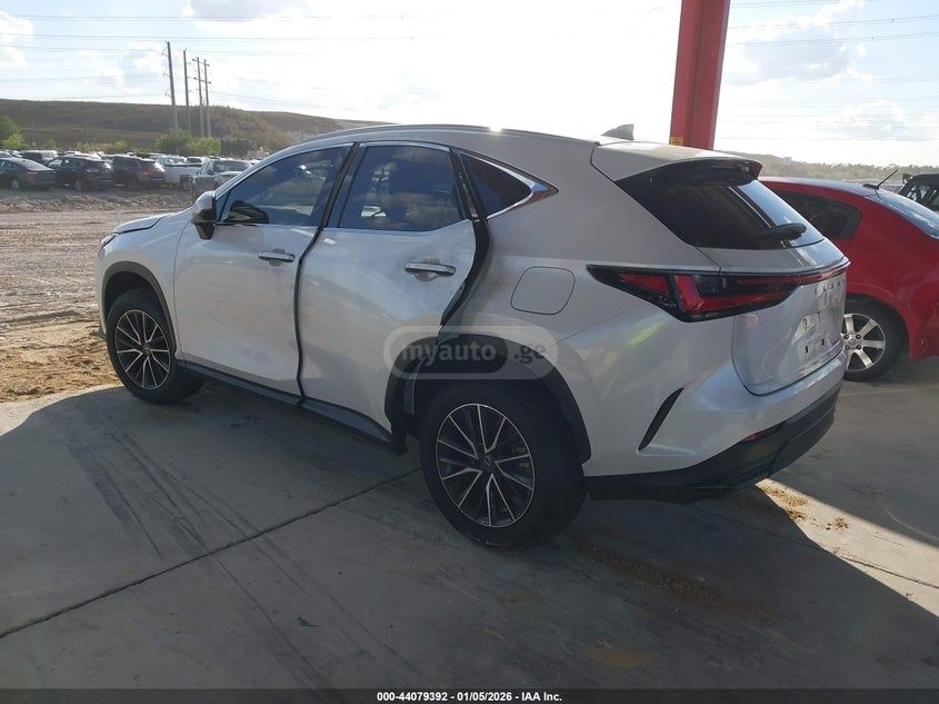 Lexus NX 250 2025 — миниатюра 3