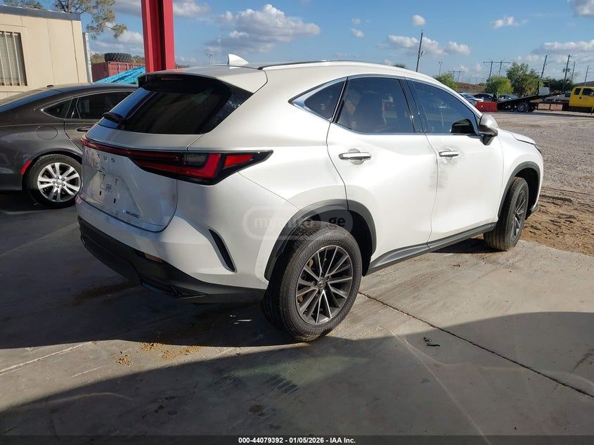 Lexus NX 250 2025 — миниатюра 4